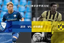 九州体育-波尔图战胜多特蒙德，葡萄牙球队斩获胜利(葡萄牙波尔图市)